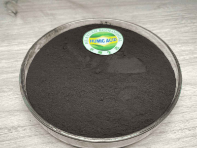 Fulvinsäure in Pflanzen