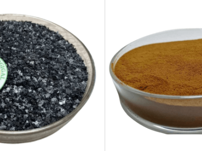 Mineralisches Kaliumfulvat