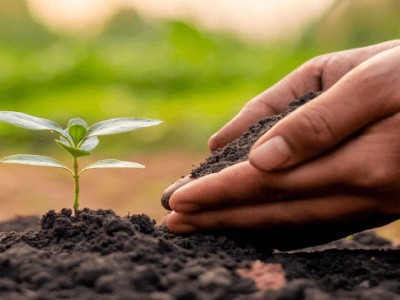 Die verbessernde Wirkung von Huminsäure auf den Boden – physikalische Wirkung