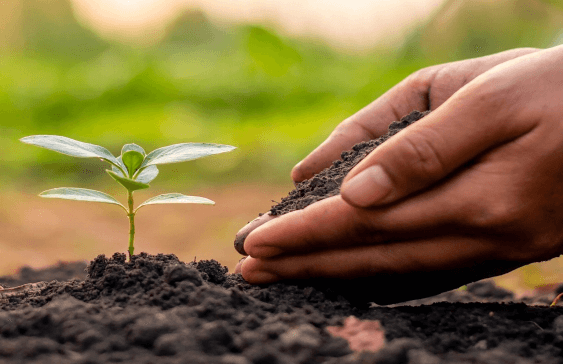 Die verbessernde Wirkung von Huminsäure auf den Boden – physikalische Wirkung.jpg