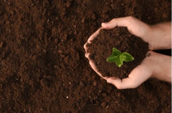 Die verbessernde Wirkung von Huminsäure auf den Boden – chemische Wirkung.jpg Die verbessernde Wirkung von Huminsäure auf den Boden – chemische Wirkung.jpg