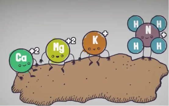 Die verbessernde Wirkung von Huminsäure auf den Boden – chemische Wirkung.jpg Die verbessernde Wirkung von Huminsäure auf den Boden – chemische Wirkung.jpg
