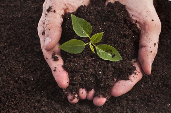 Die verbessernde Wirkung von Huminsäure auf den Boden – chemische Wirkung.jpg Die verbessernde Wirkung von Huminsäure auf den Boden – chemische Wirkung.jpg