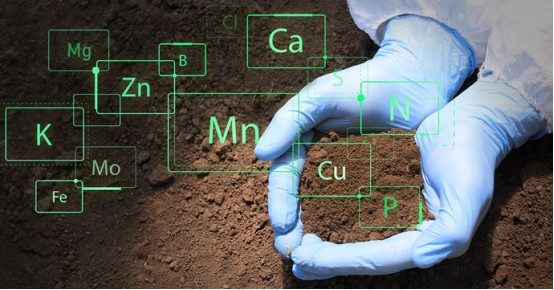 Die verbessernde Wirkung von Huminsäure auf den Boden – chemische Wirkung.jpg Die verbessernde Wirkung von Huminsäure auf den Boden – chemische Wirkung.jpg