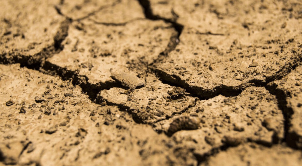 Versauerter Boden.jpg