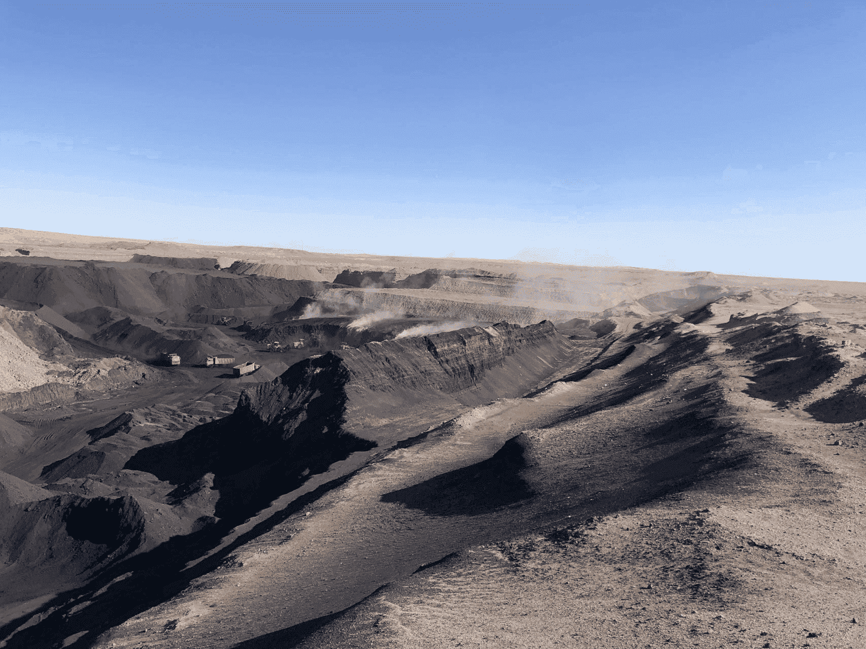 Huminsäure verwendet in Pflanzen.jpg