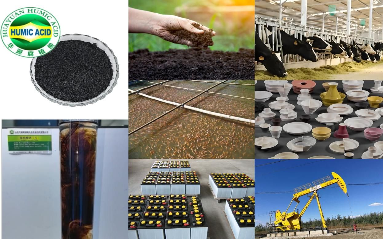 Hervorragende Qualität von Natriumhumat zu einem guten Preis.jpg